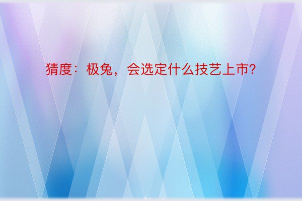 猜度：极兔，会选定什么技艺上市？